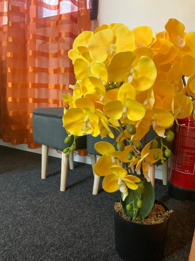 Skogsvikens Hotell Kolmården Екстериор снимка