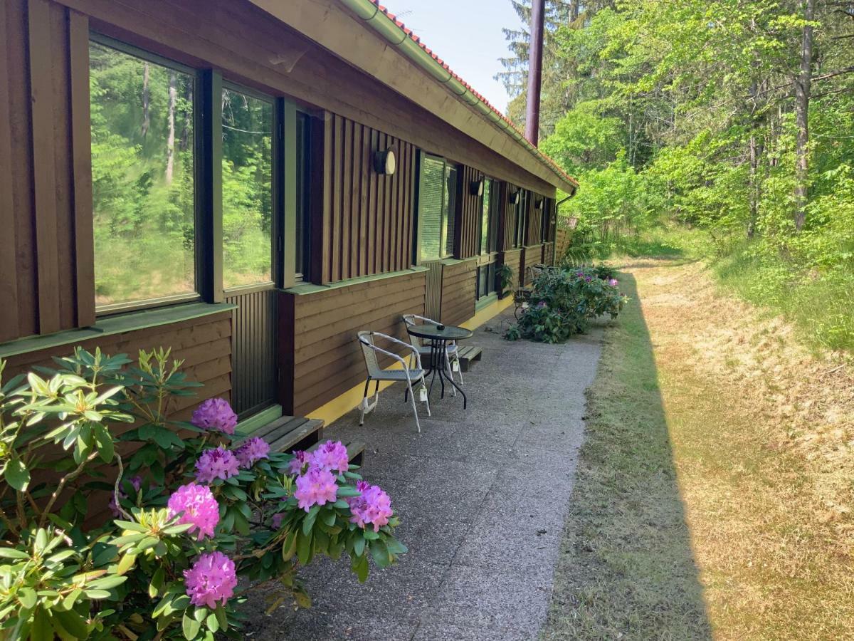 Skogsvikens Hotell Kolmården Екстериор снимка